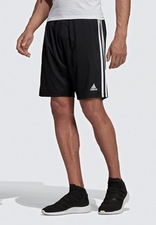 Шорты спортивные adidas