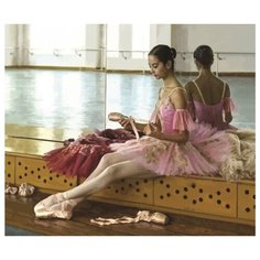 Color Kit Картина по номерам