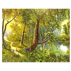 Paintboy Картина по номерам