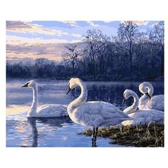 Paintboy Картина по номерам