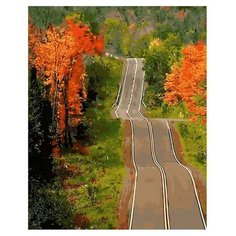 Menglei Картина по номерам