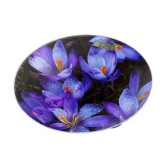 Весы Home Element HE-SC908