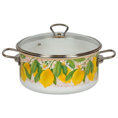 Кастрюля СтальЭмаль 1SB245S 5 л