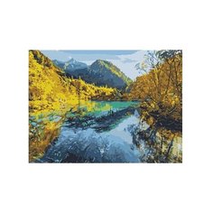 Рыжий кот Картина по номерам