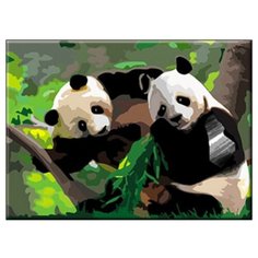 Рыжий кот Картина по номерам