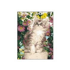 Рыжий кот Картина по номерам