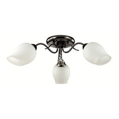 Люстра Lumion Rondina 3076 3C
