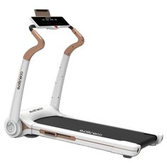 Электрическая беговая дорожка Evo Fitness