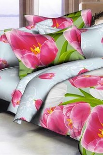 Постельное белье евро 70x70 Французский стиль