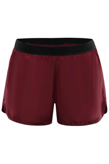 Shorts Alpine Pro