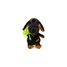 Мягкая игрушка Budi Basa Собака Ваксон с букетом, 25 см