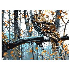 Paintboy Картина по номерам