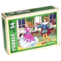 Пазл Рыжий кот Золушка в