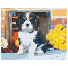 Рыжий кот Картина по номерам