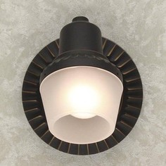 Спот Citilux CL562511