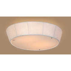 Потолочный светильник Citilux CL913141