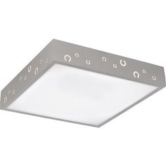Потолочный светильник Silver Light 869.30.7
