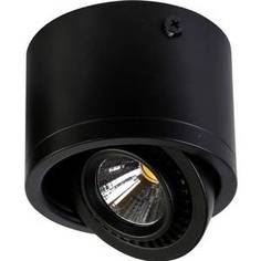 Потолочный светильник Favourite 1778-1C