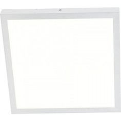 Потолочный светильник Favourite 1349-24C