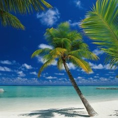 Фотообои Komar Ari Atoll (1,84х2,54 м) (4-883)