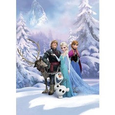 Фотообои Disney Frozen Winter Land (1,84х2,54 м)