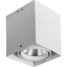 Потолочный светодиодный светильник Favourite 1986-1U