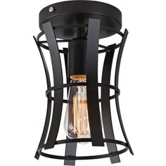 Потолочный светильник Favourite 1521-1U