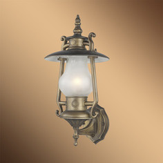 Уличный настенный светильник Favourite 1496-1W