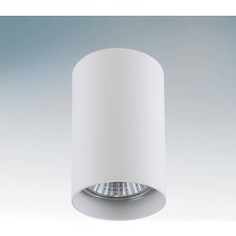 Точечный светильник Lightstar 214436