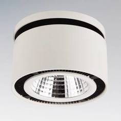 Точечный светильник Lightstar 214820