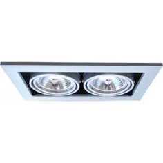 Точечный поворотный светильник Artelamp A5930PL-2SI