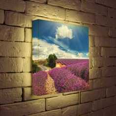 FotonioBox Лайтбокс Цветущие поля 35x35-034