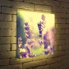 FotonioBox Лайтбокс Полевые цветы 45x45-044