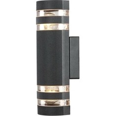 Уличный настенный светильник Artelamp A8162AL-2BK