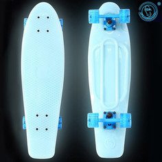 RT 402E-B Скейтборд Big Fishskateboard GLOW 27 винил 68,6х19 с сумкой BLUE/blue