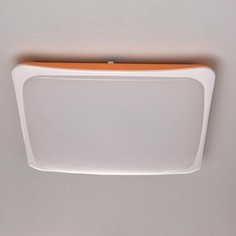 Потолочный светодиодный светильник с пультом MW-Light 674014601