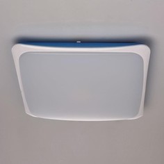 Потолочный светодиодный светильник с пультом MW-Light 674014401