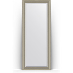 Зеркало напольное с фацетом поворотное Evoform Exclusive Floor 81x201 см, в багетной раме - хамелеон 88 мм (BY 6120)