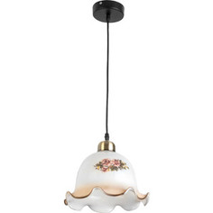 Подвесной светильник Toplight TL4311D-01AB