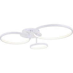 Потолочный светодиодный светильник ST-Luce SL904.112.03