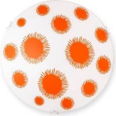 Настенный светильник Toplight TL9273Y-03OR