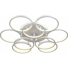 Потолочный светодиодный светильник ST-Luce SL904.512.09