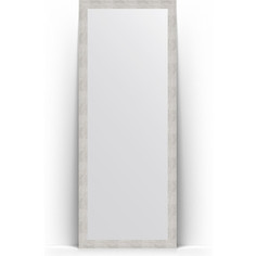 Зеркало напольное поворотное Evoform Definite Floor 78x197 см, в багетной раме - серебряный дождь 70 мм (BY 6002)