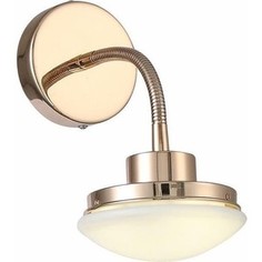 Светодиодный спот ST-Luce SLE120.201.01