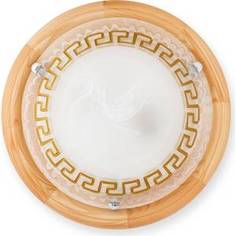 Настенный светильник Toplight TL9173Y-02PN