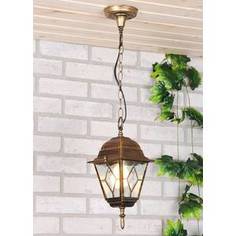 Уличный подвесной светильник Elektrostandard 4690389012341