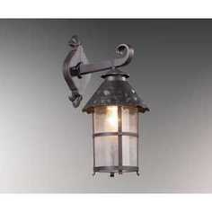 Уличный настенный светильник Odeon 2313/1W