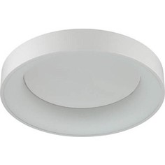Потолочный светодиодный светильник Odeon 4062/50CL