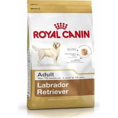 Сухой корм Royal Canin Adult Labrador Retriever для собак от 15 месяцев породы Лабродор 3кг (348030)