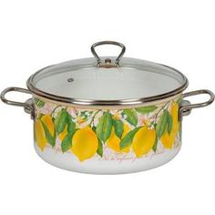 Кастрюля эмалированная 5.0 л Vitross Limon (1SB245S)